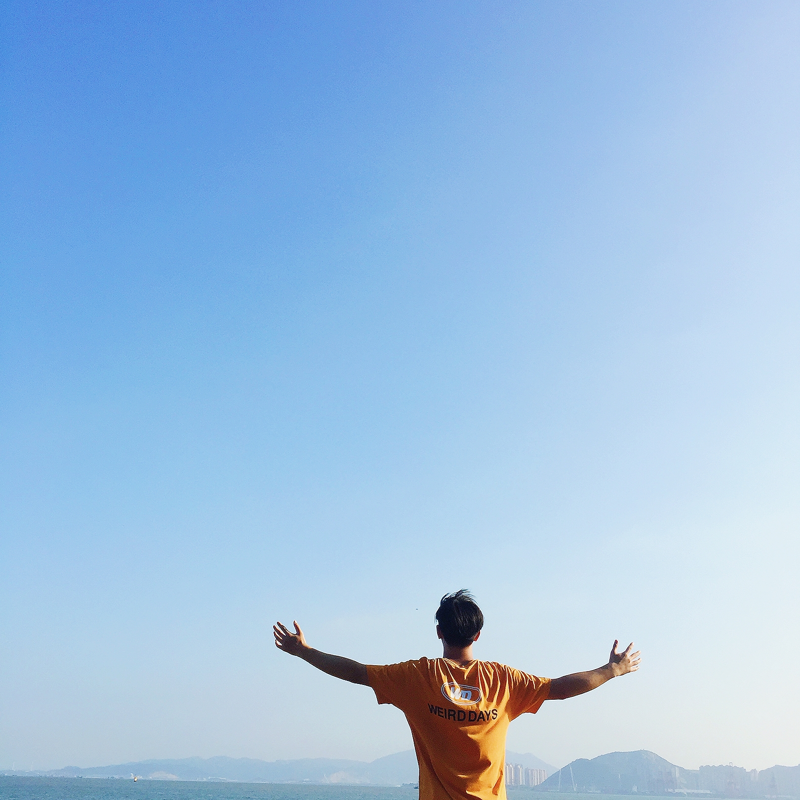 yu chun de li xiang zhu yi