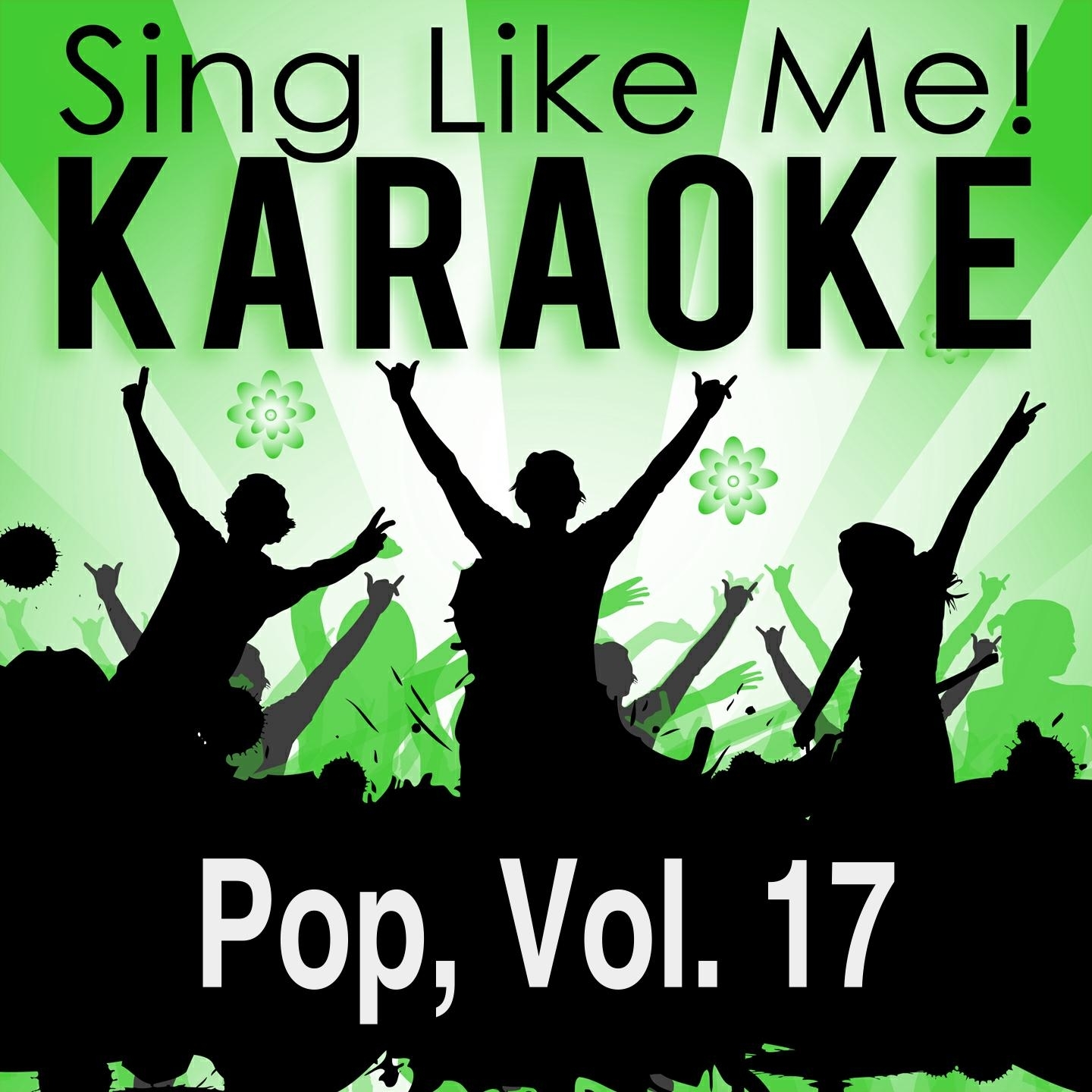 Pop, Vol. 17 (Karaoke Version)