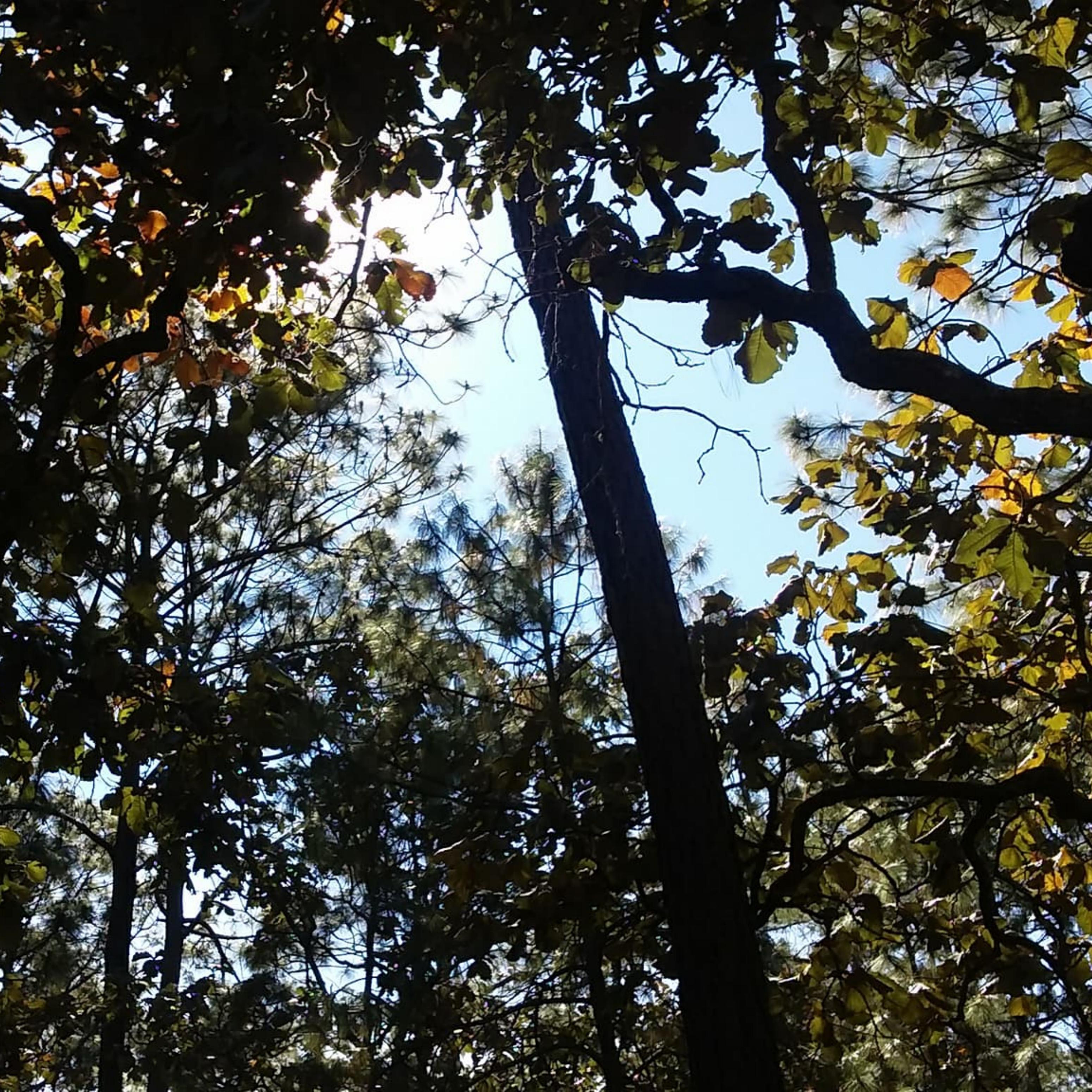 Entre Sa banas Blancas feat. Nayr