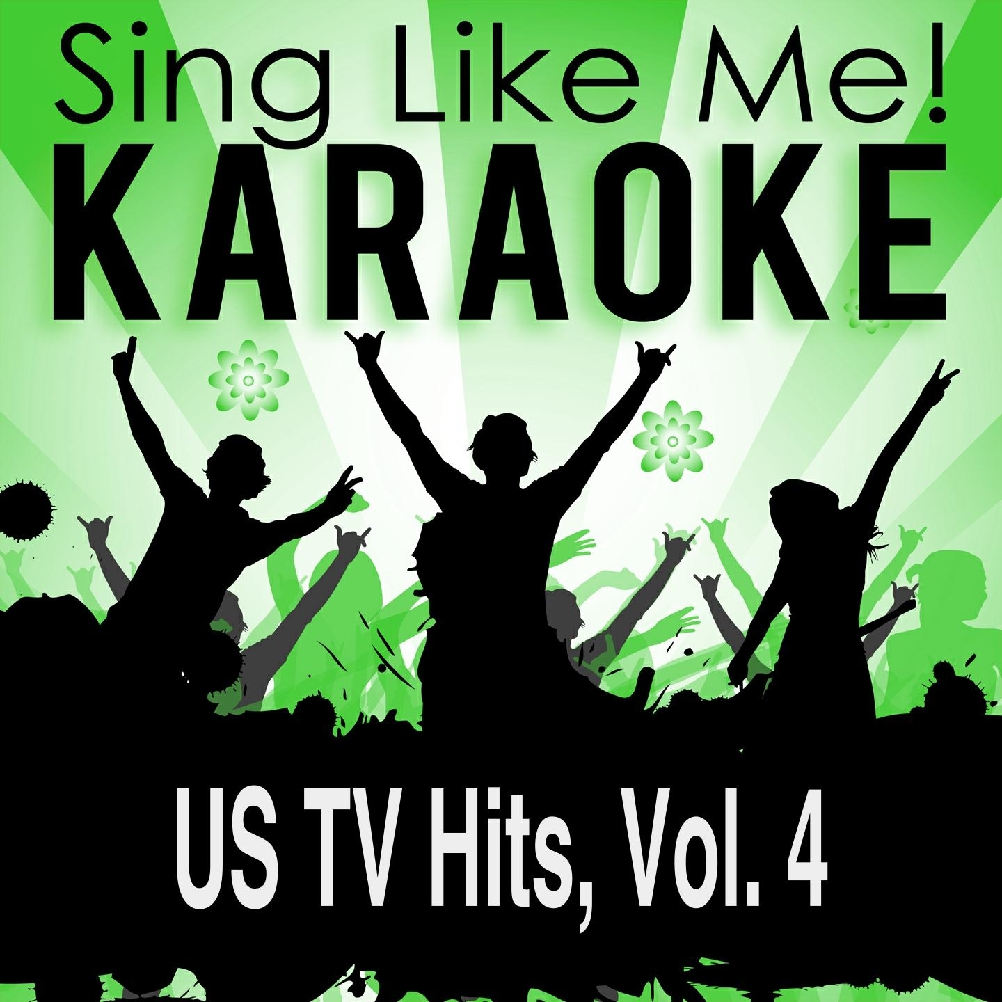 US TV Hits, Vol. 4 (Karaoke Version)