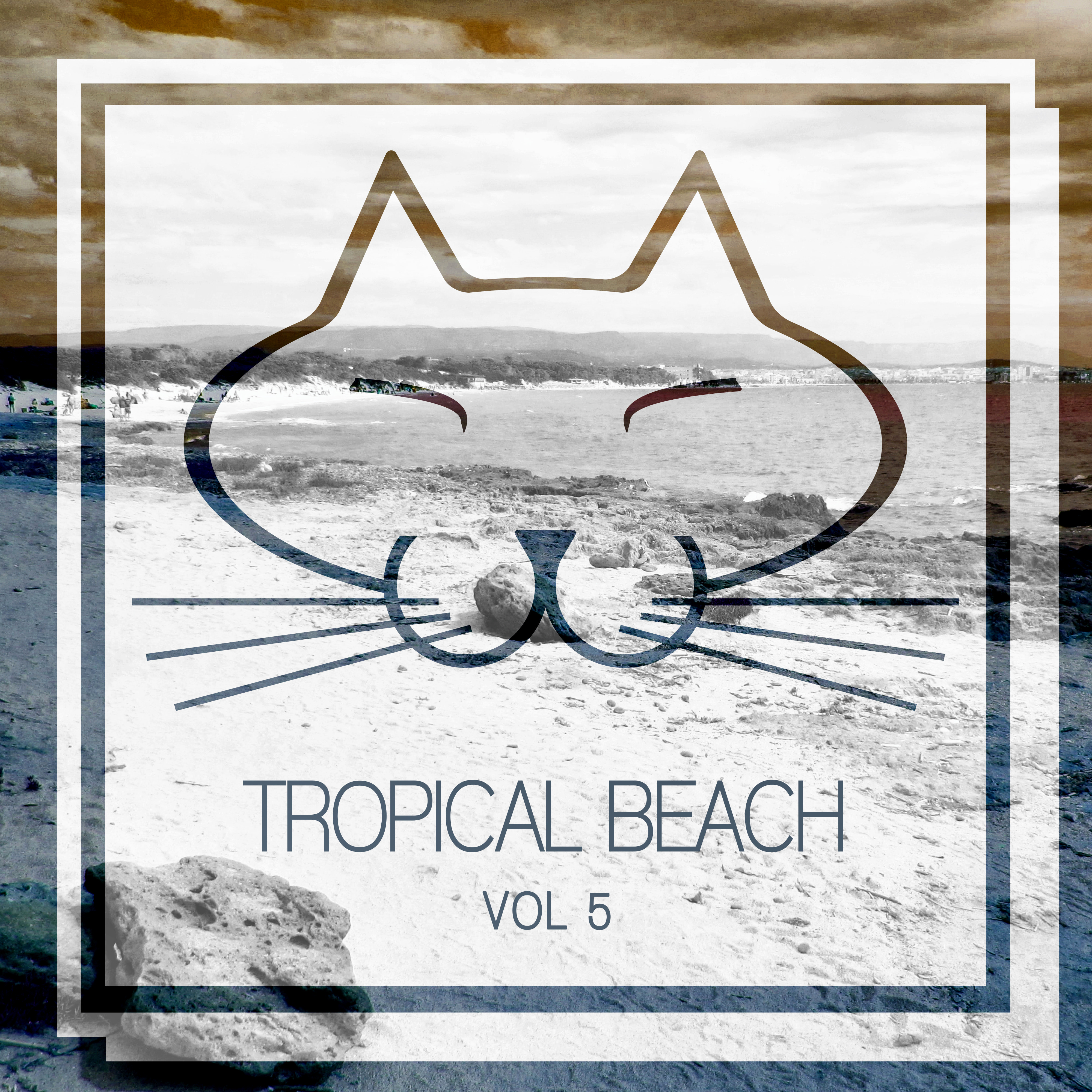 Tropical Beach, Vol. 5