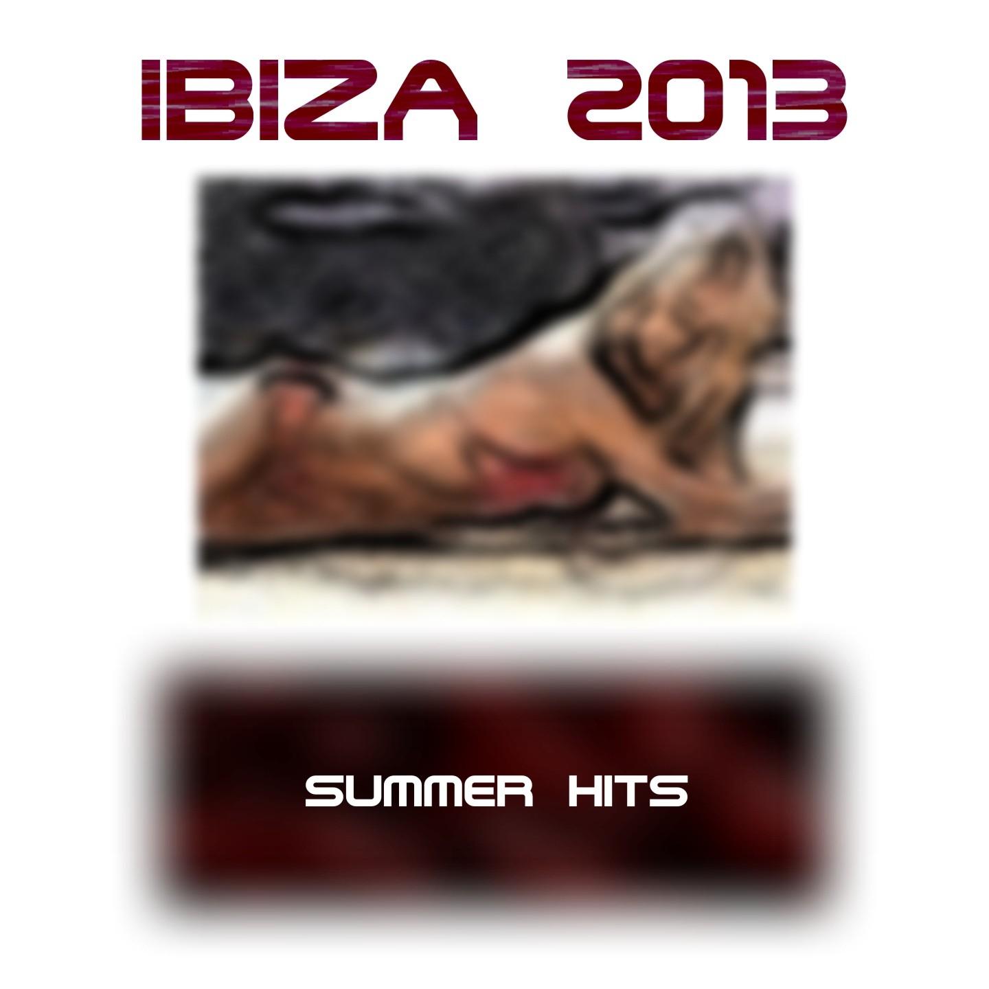 Ibiza 2013 Summer Hits (40 Super Hits Dance and Electro for Djs)