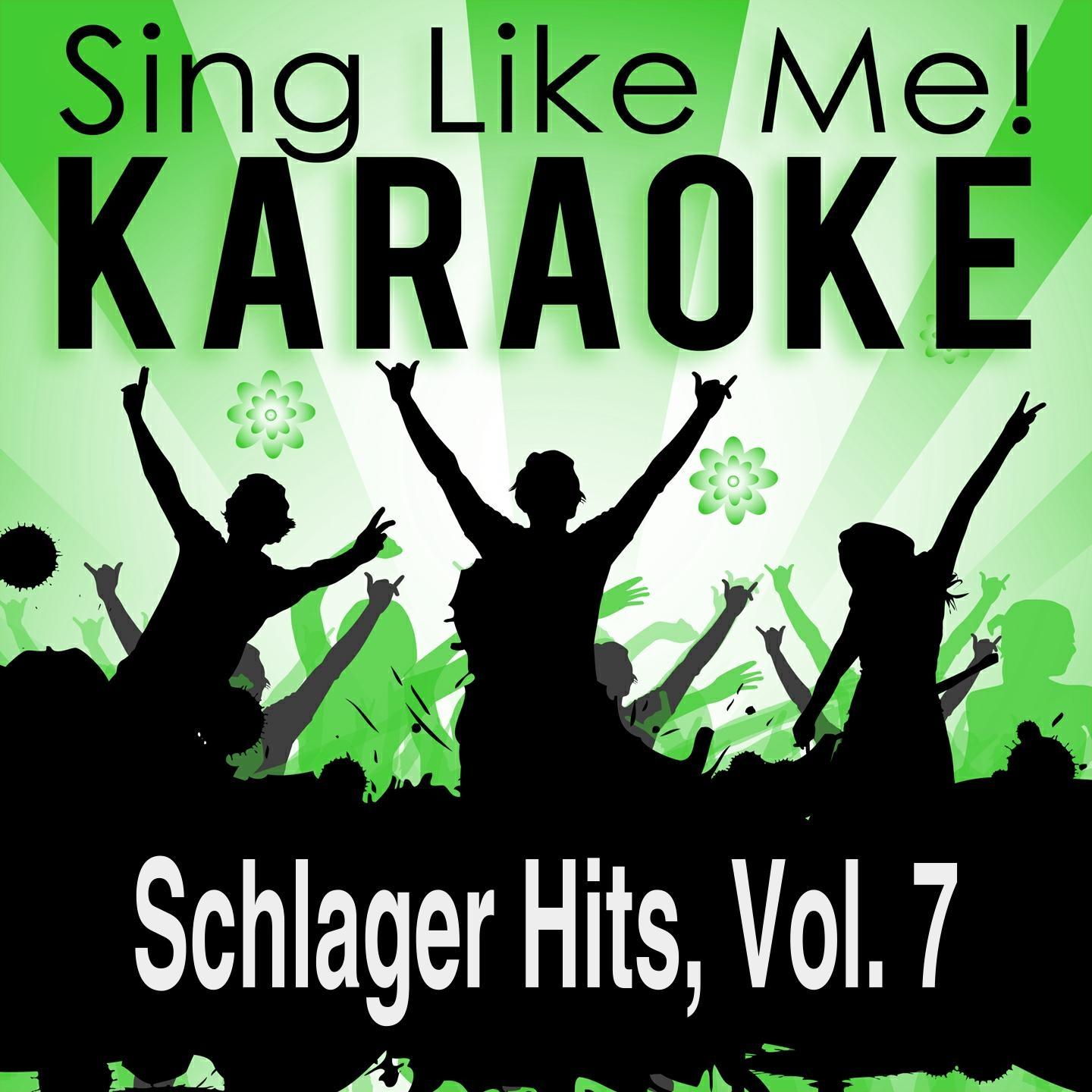 Weil du heut Geburtstag hast (Karaoke Version) (Originally Performed By Robby Lind)