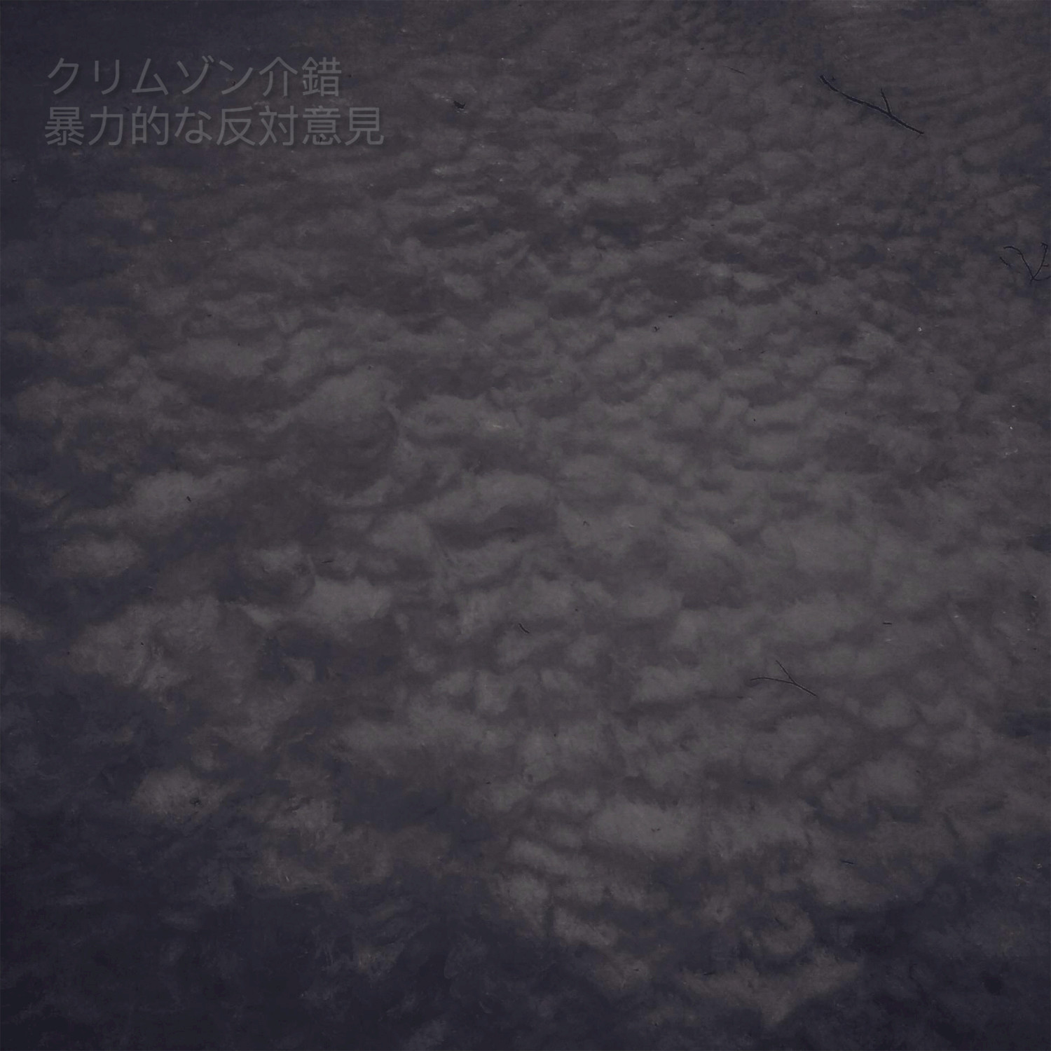 bao li de fan dui yi jian