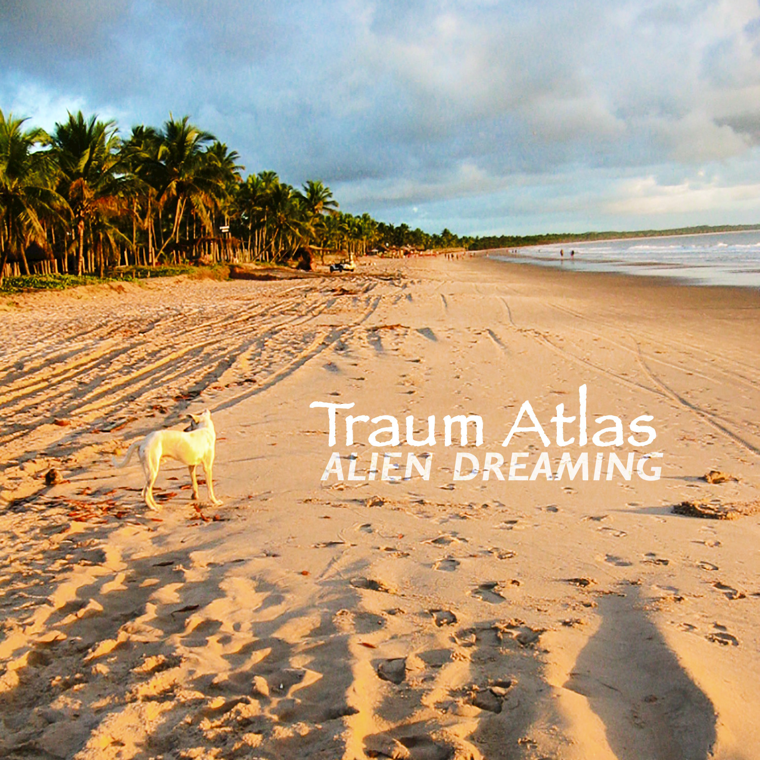 Objects Following Waves