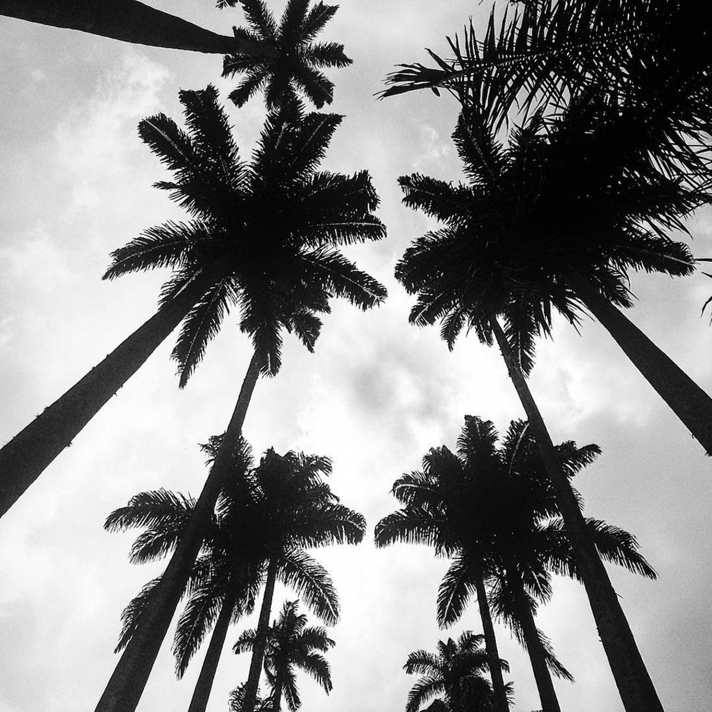 Sri Mahalakshmi Sahasranaamam