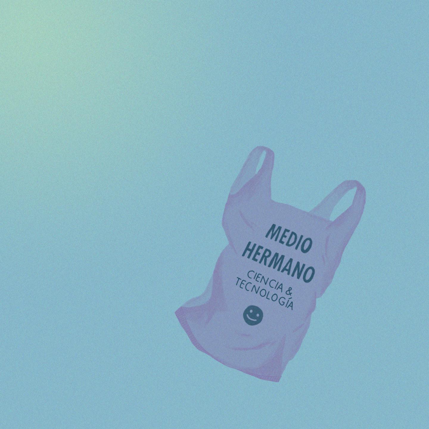 El Chico del Po rtico