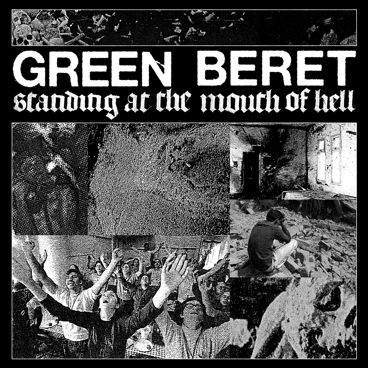 Flores En El Desierto