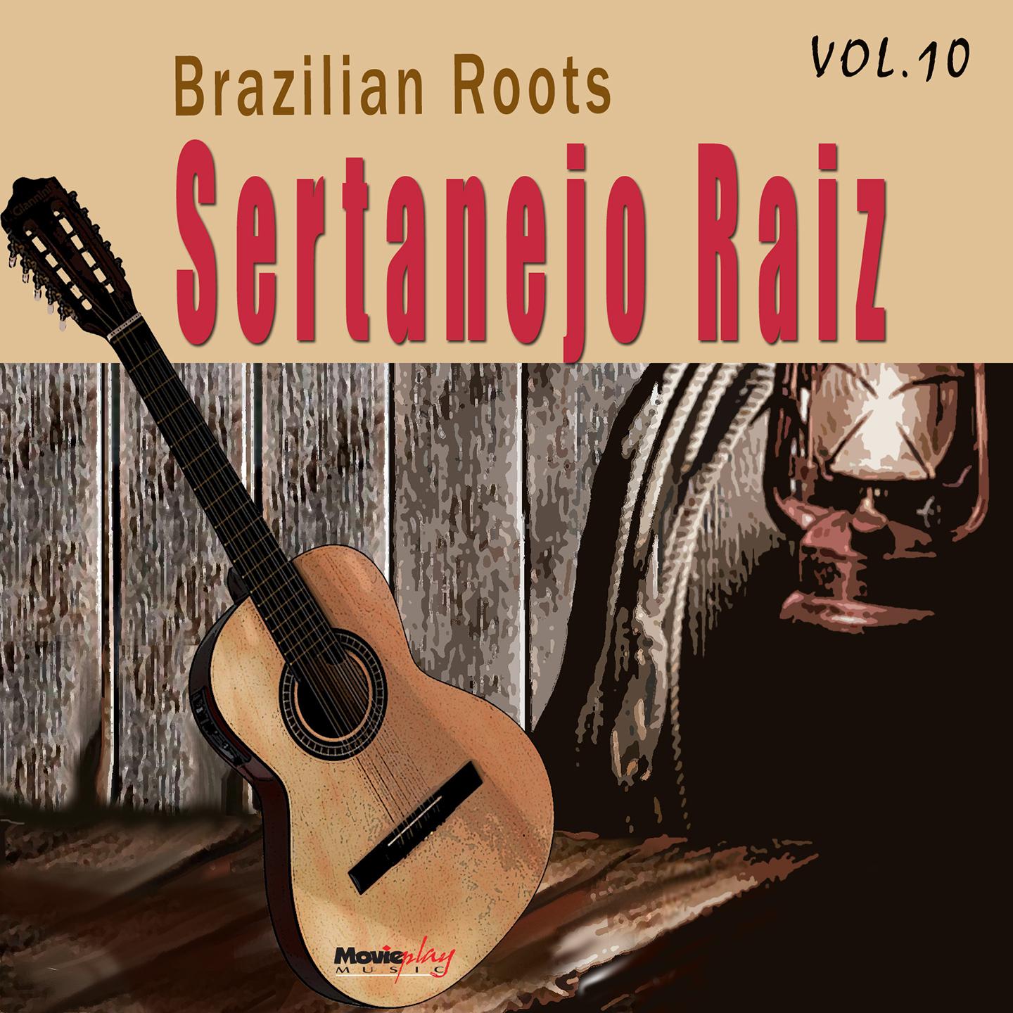 Sertanejo Raiz, Vol. 10