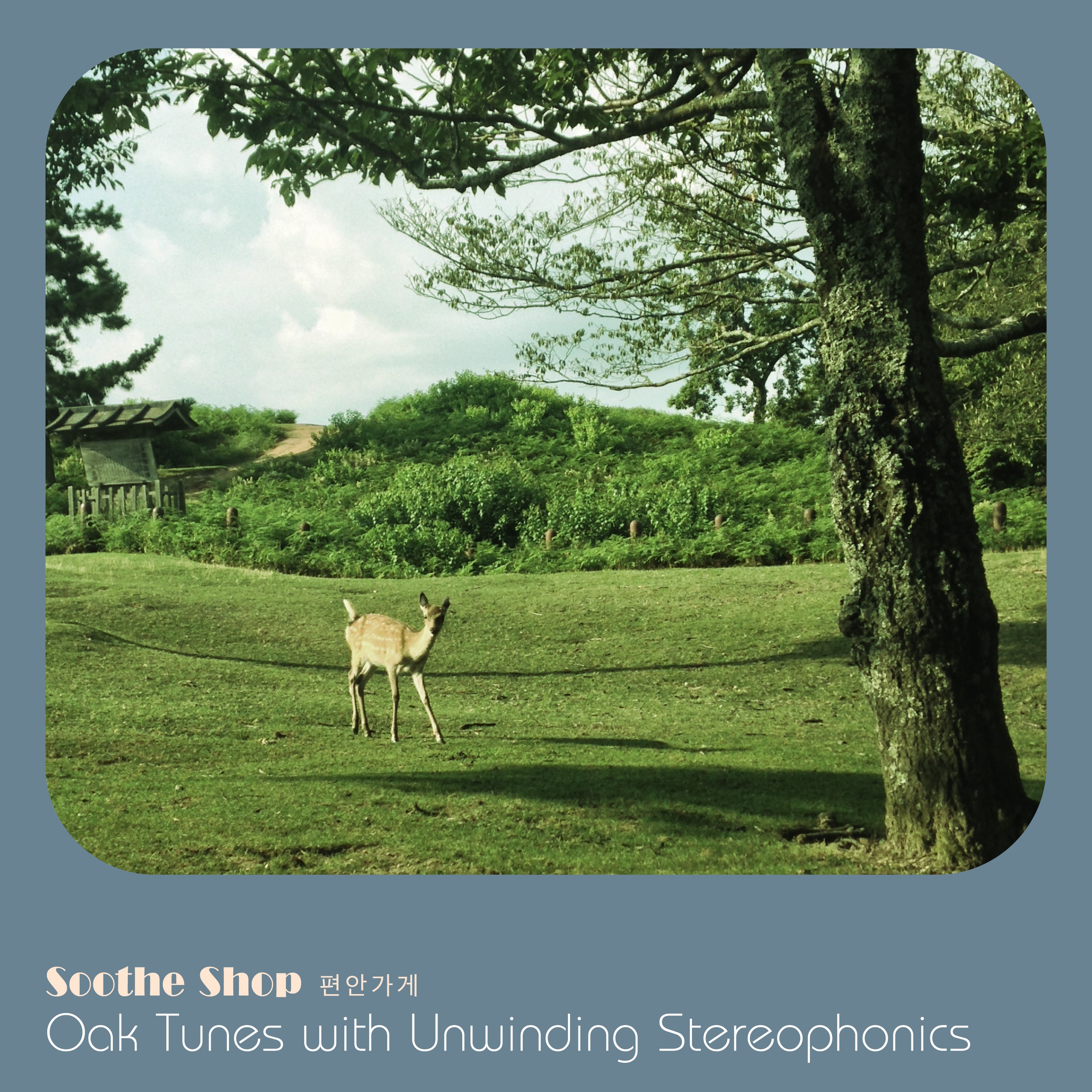 Soothing in Tranquil