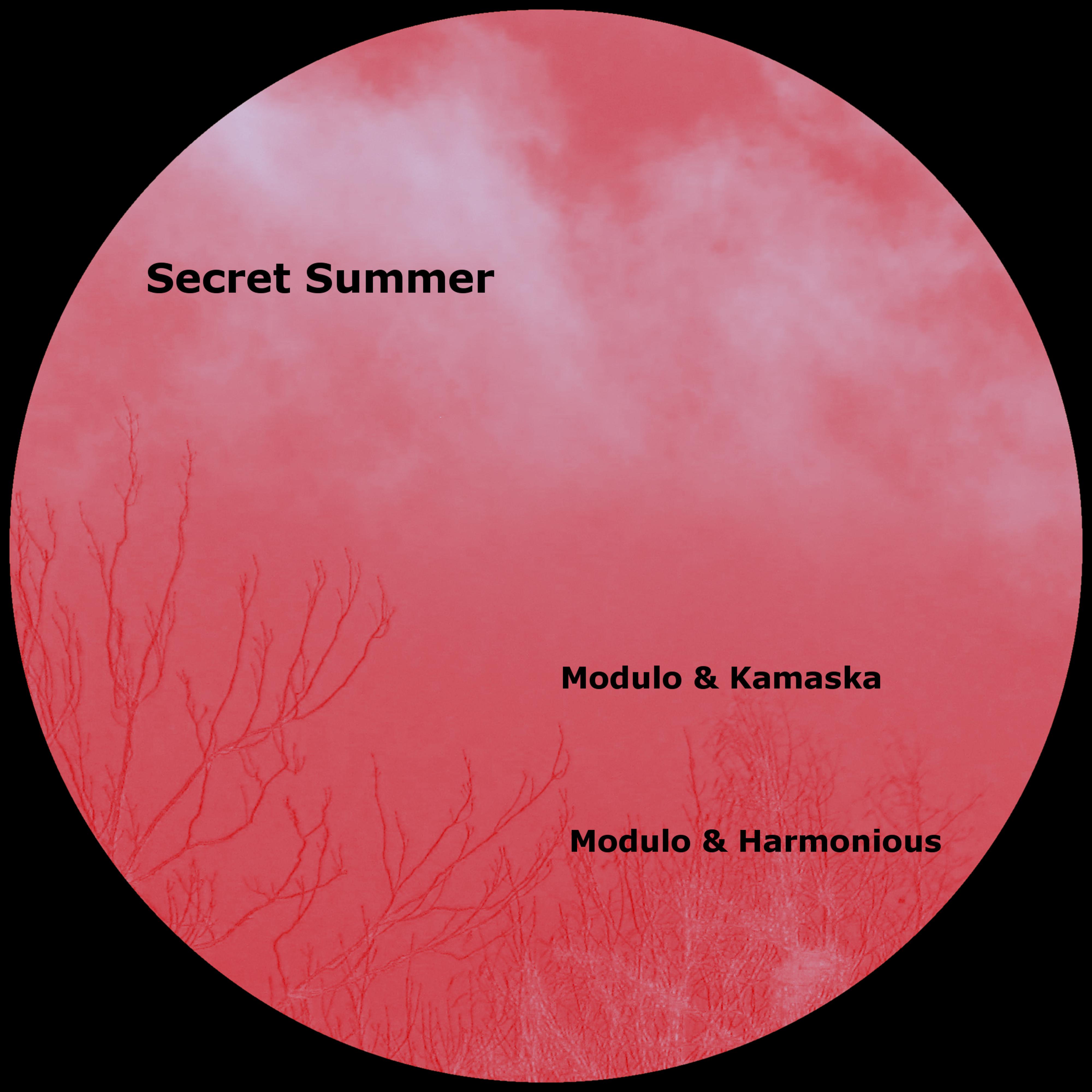 Secret Move (Modulo & Kamaska Remix)