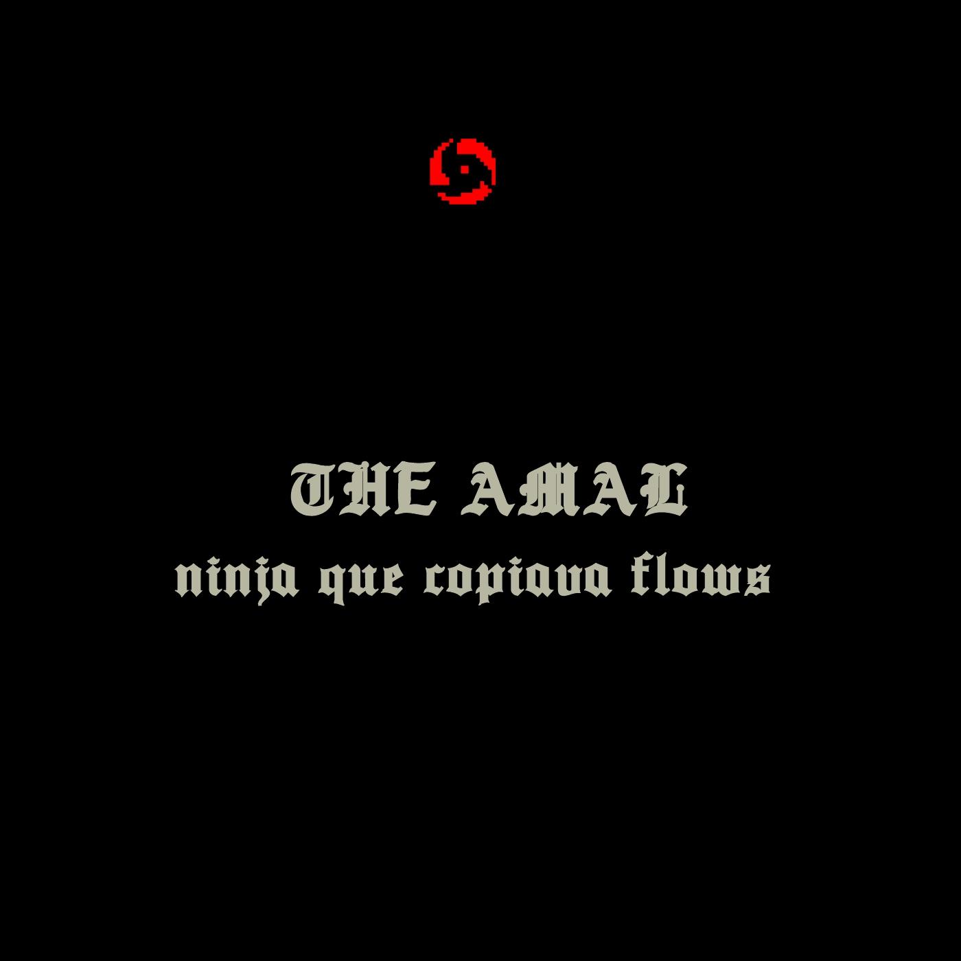 Ninja Que Copiava Flows