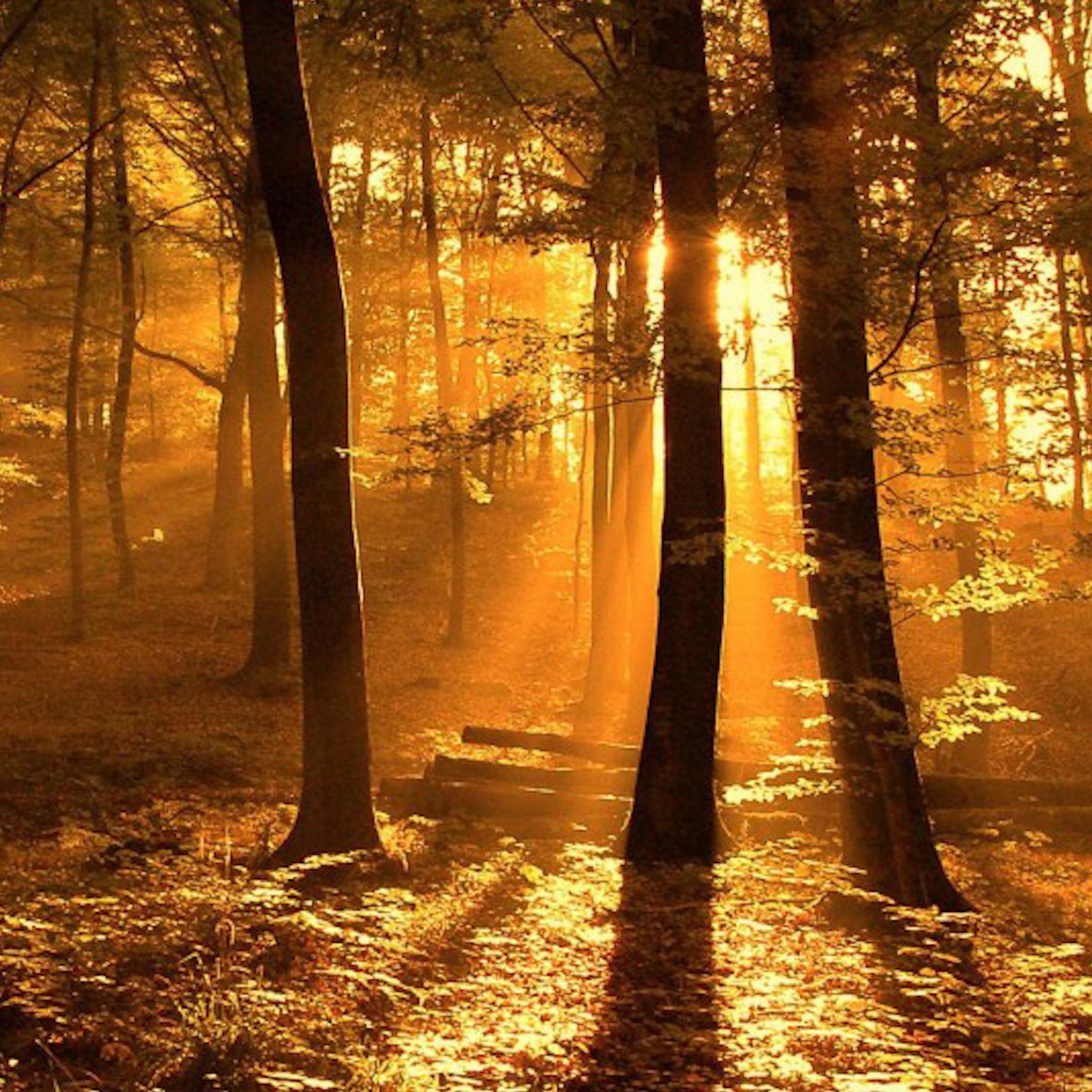 En La Simpleza De Un Te Amo