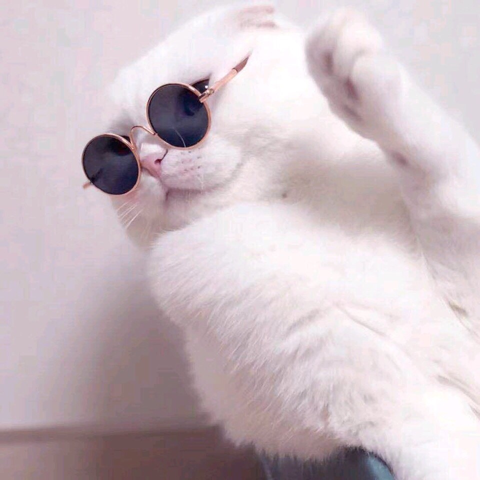 zhe tiao jie chang ge zui nan ting de zai