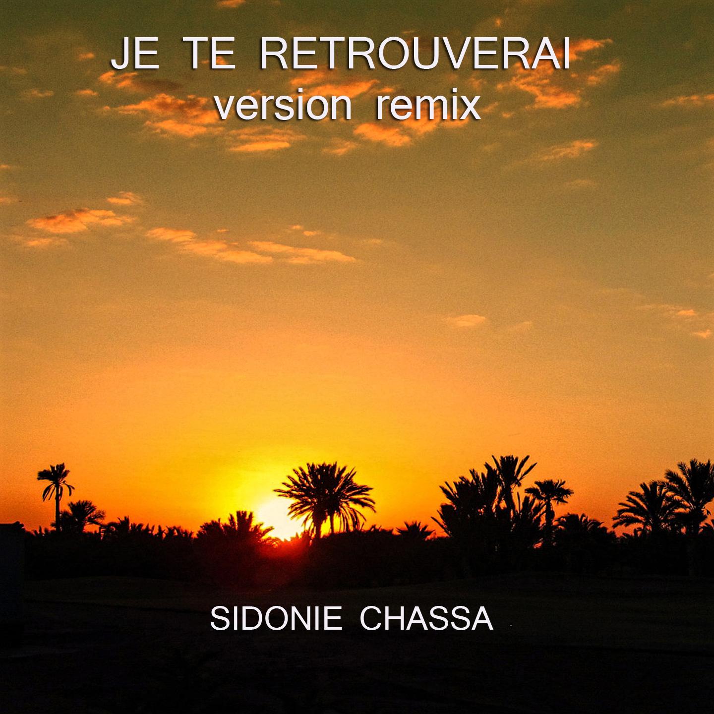 Je te retrouverai (Version Remix)