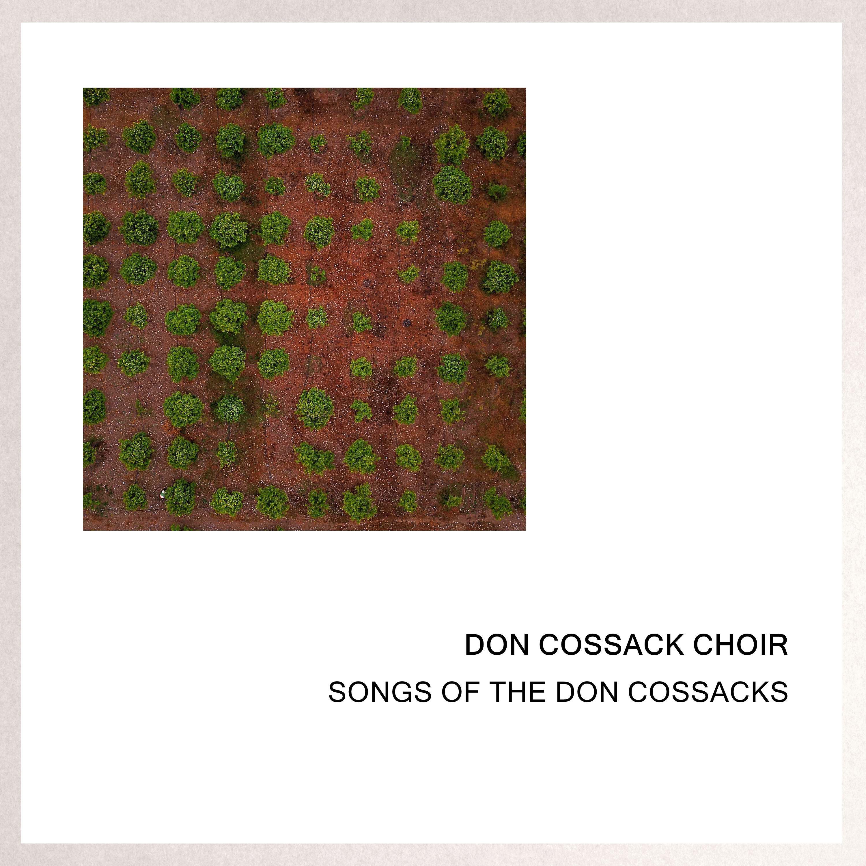 Down The Petrograd Road (Original)