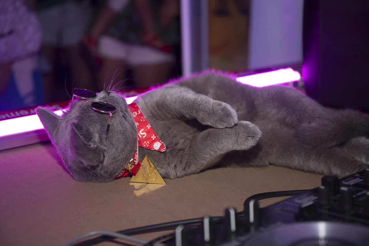 DJ SnakeDrop Magenta Riddim Ninty9 Mashup Ninty9_Official remix