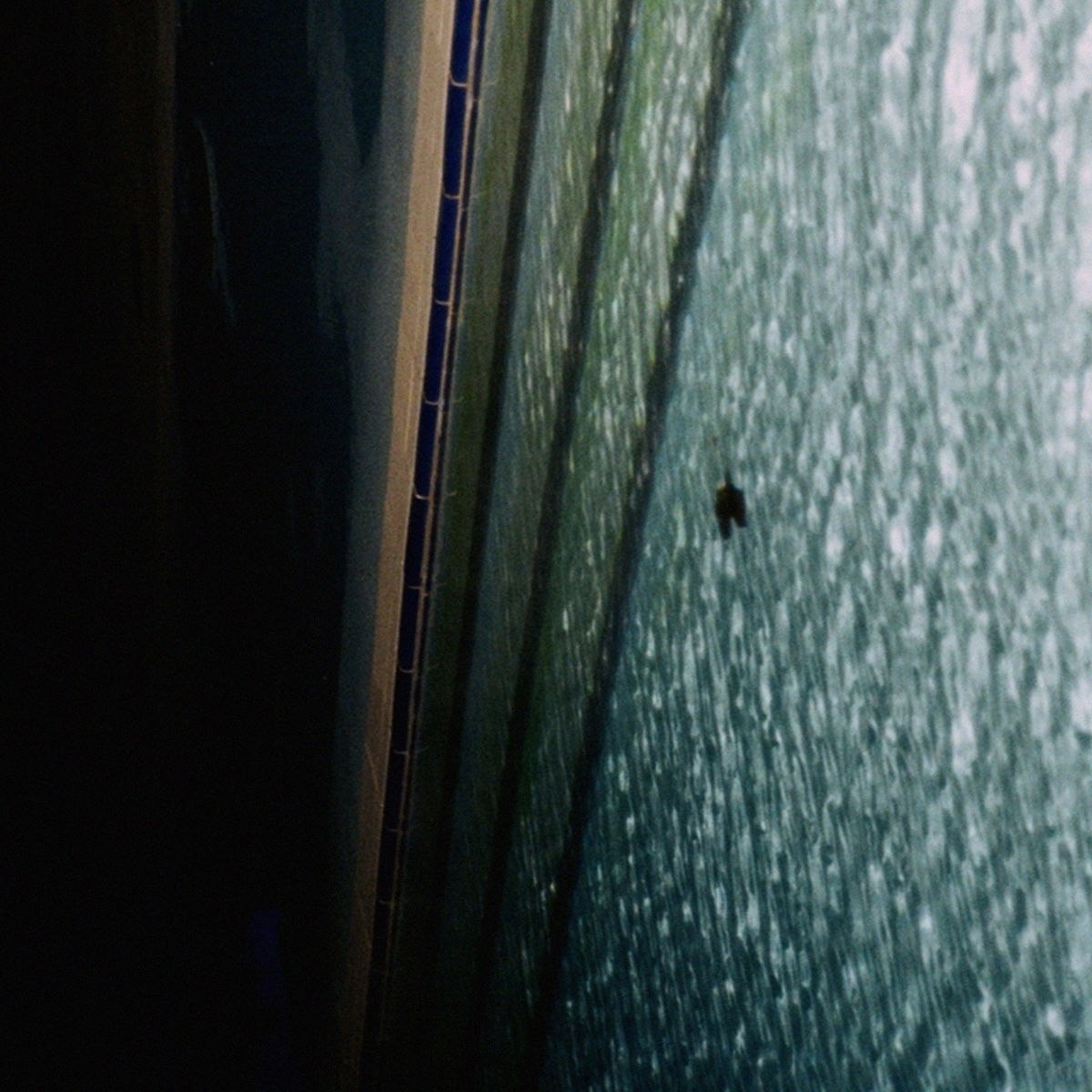 Only Trying To Tell You