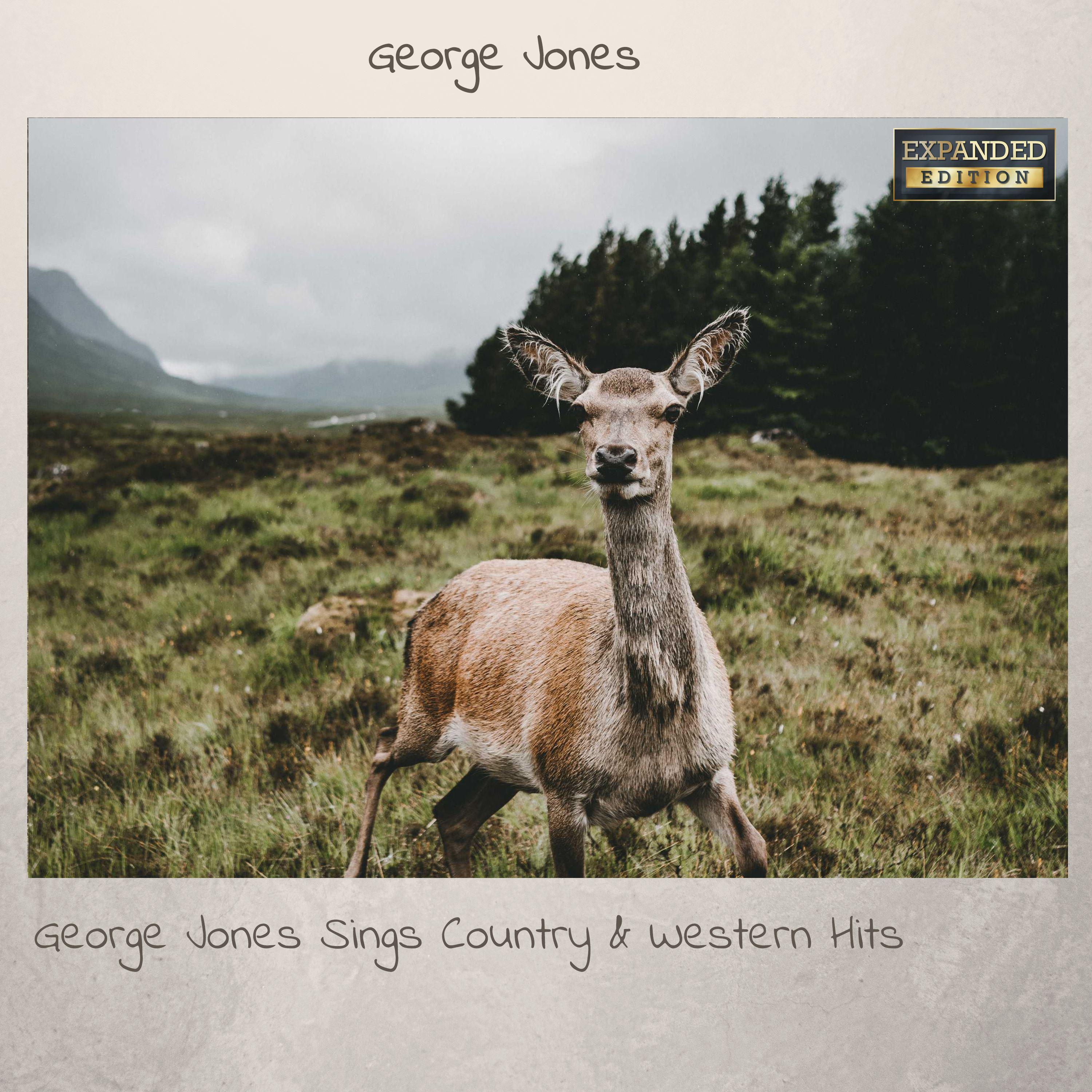 (I'll Be There) If You Want Me