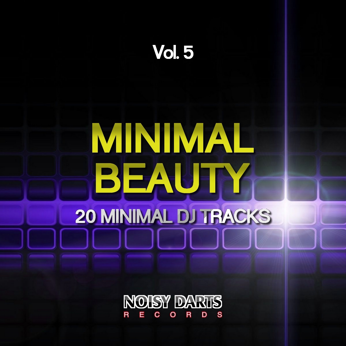 Minimal Beauty, Vol. 5 (20 Minimal DJ Tracks)