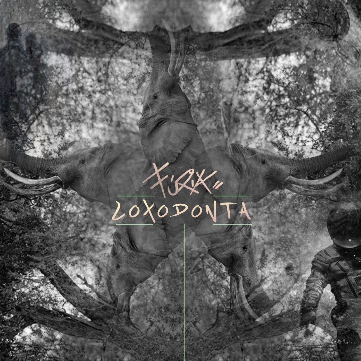 Virginia (Frank Royal Remix)