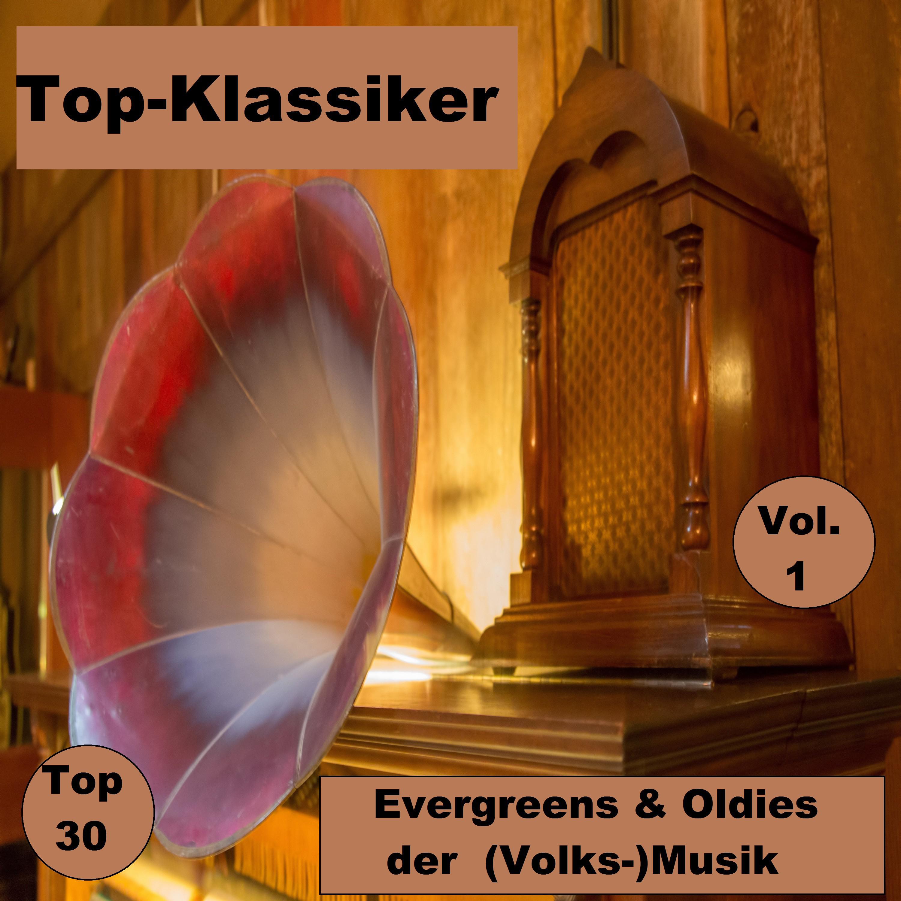 Top 30: Top-Klassiker, Evergreens & Oldies der (Volks-)Musik, Vol. 1