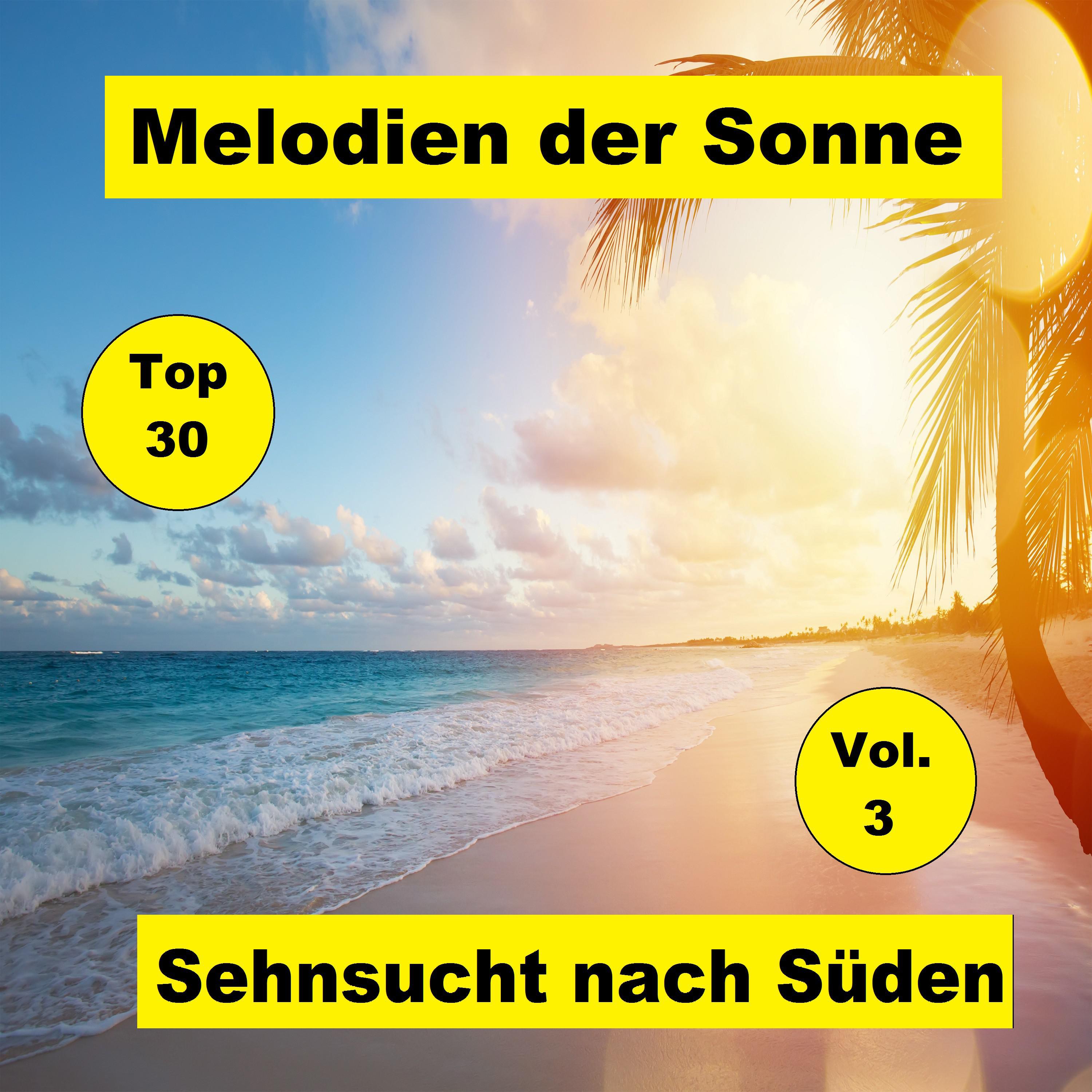 Top 30: Melodien der Sonne  Sehnsucht nach Sü den, Vol. 3
