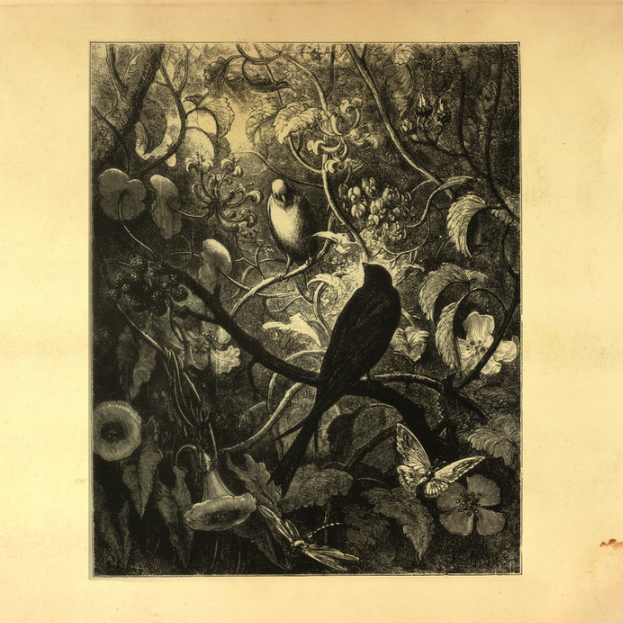 Singular (Das Glow Mix)