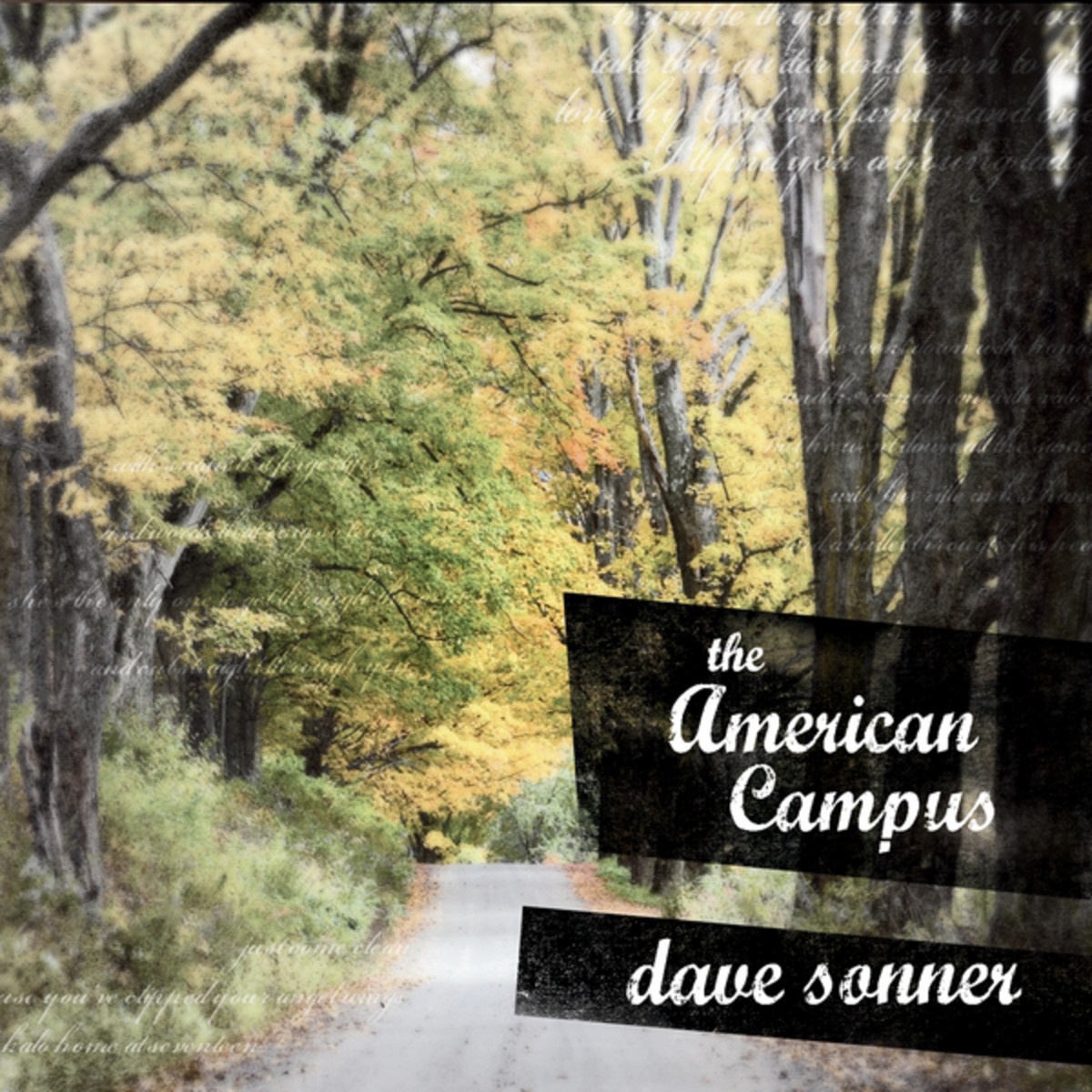 The American Campus