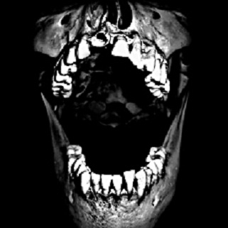 Prodigiorvm Ac Ostentorvm Chronicon: Movements I And II