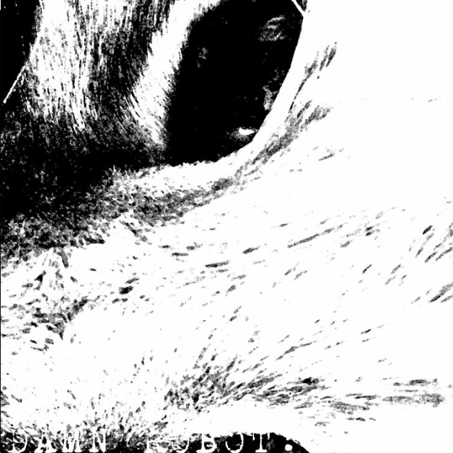 I Think You're Harry