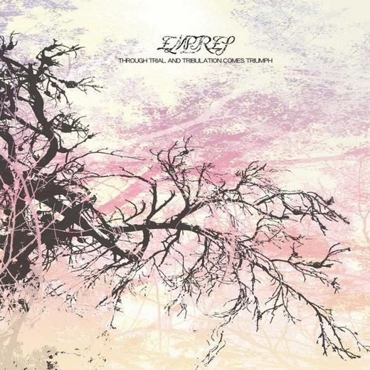 Through Trial & Tribulation Comes Triumph