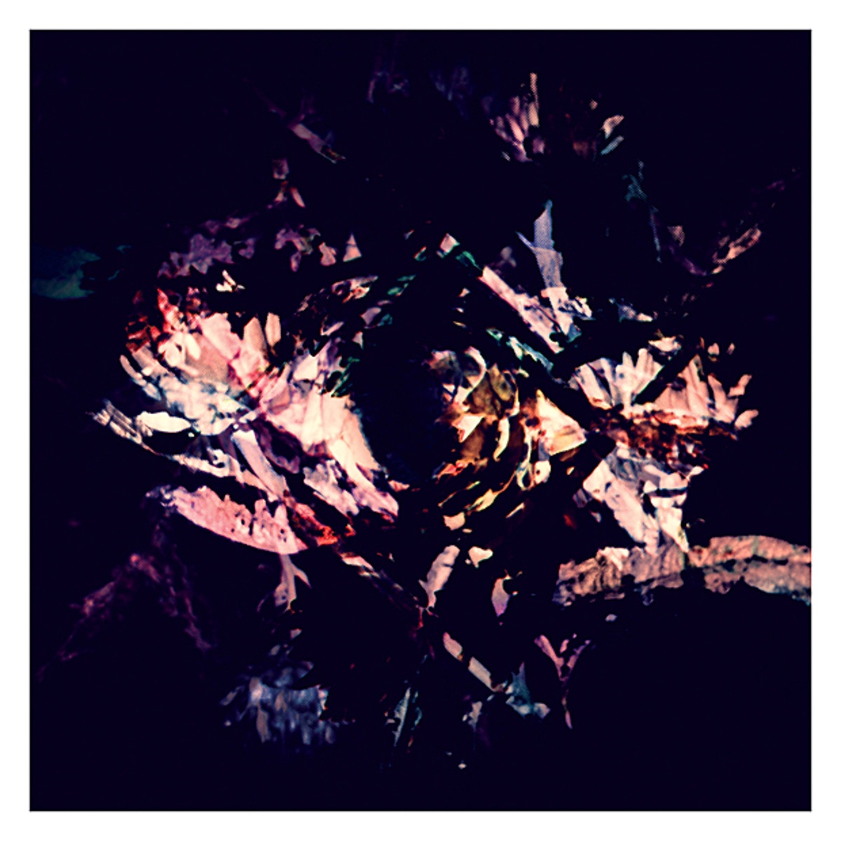 Naruto And The End Of The Broken Ear