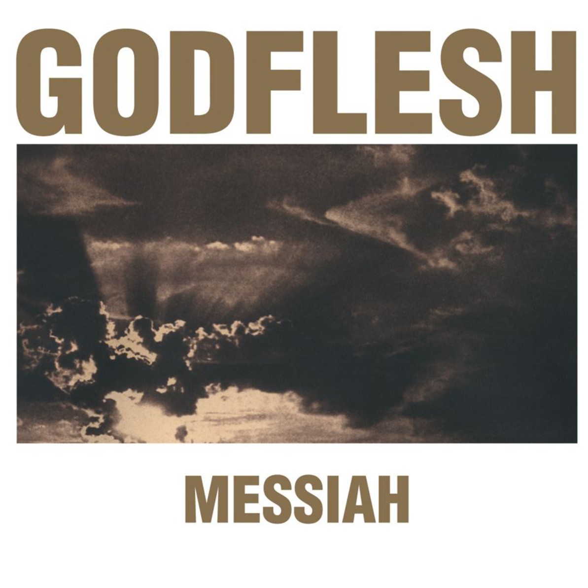 Wilderness of Mirrors