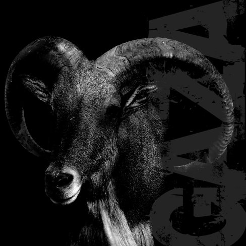 I Don't Care Where I Go When I Die