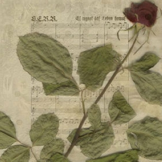 Ferme Jongens, Stoere Knapen