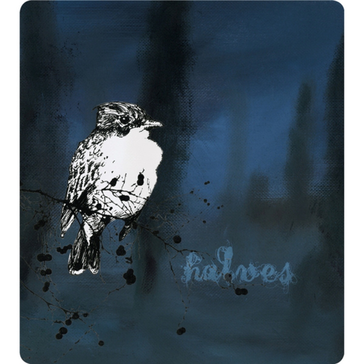 Morning Breaks the Sleep Recorder