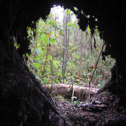 Gr toner  Depression