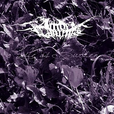 Sick of it All (Finger Eleven Cover)