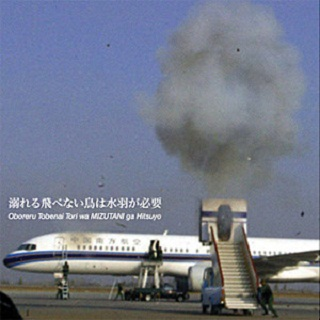 field of artificial flowers