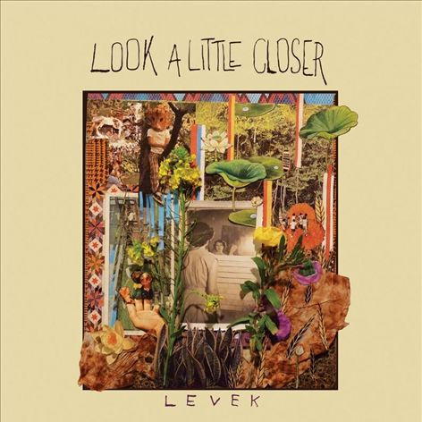 Look a Little Closer