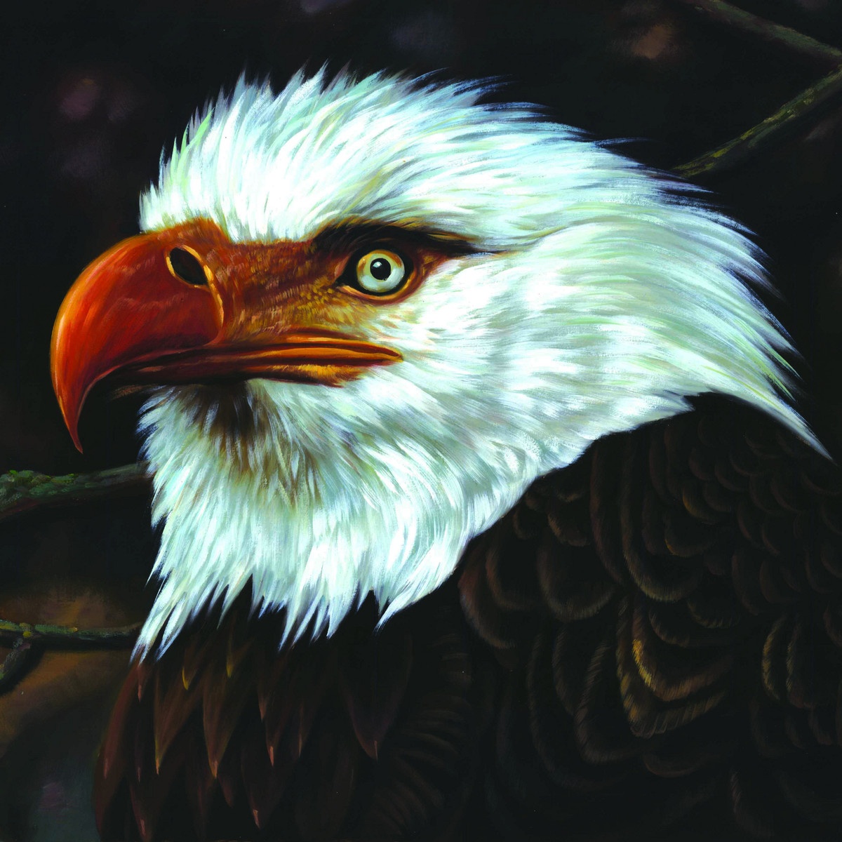 I'm Jim Morrison I'm Dead