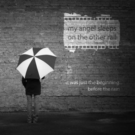 Never (dying animals song)