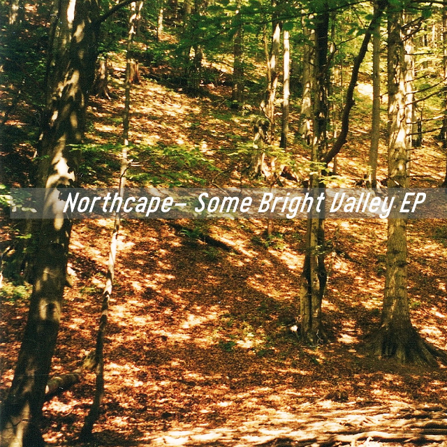 A Part Of The Forest