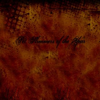 Pet Slimmers of the Year