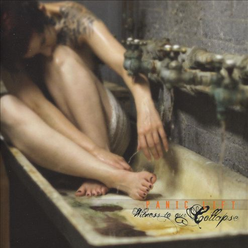 Witness to Our Collapse