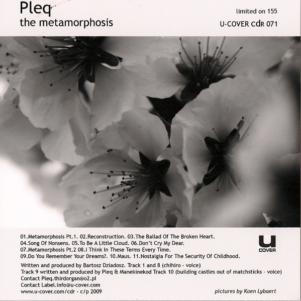 I Think In These Terms Every Time