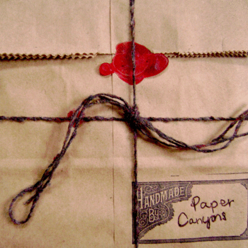 Light Perceiving Light