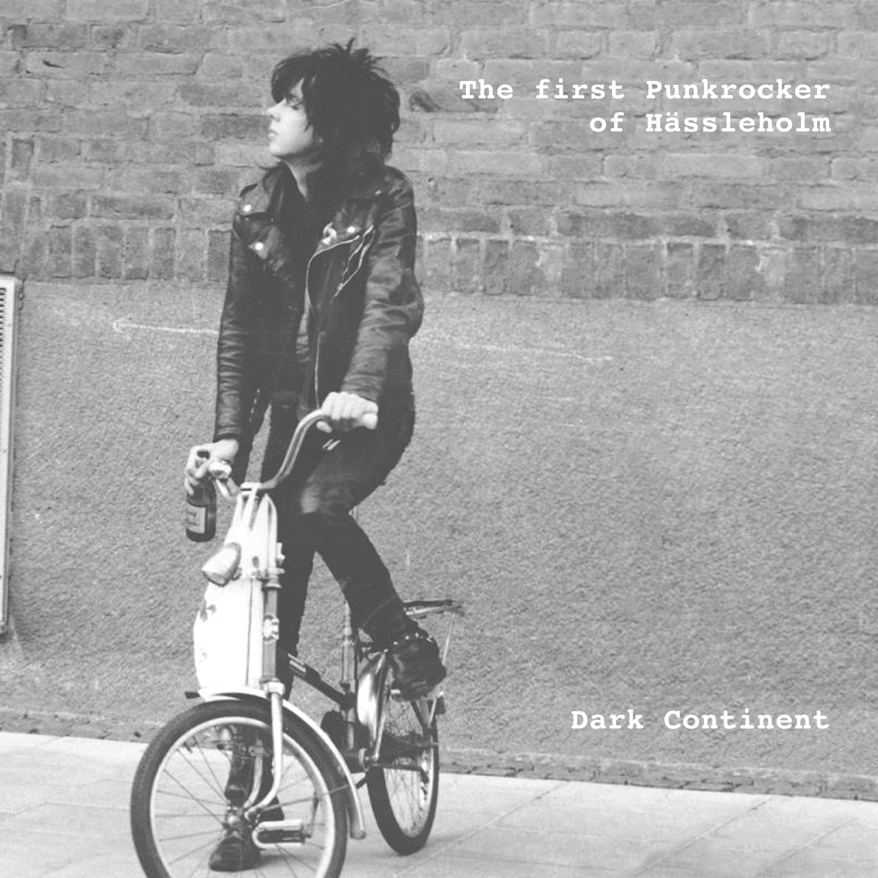 The First Punkrocker of Ha ssleholm