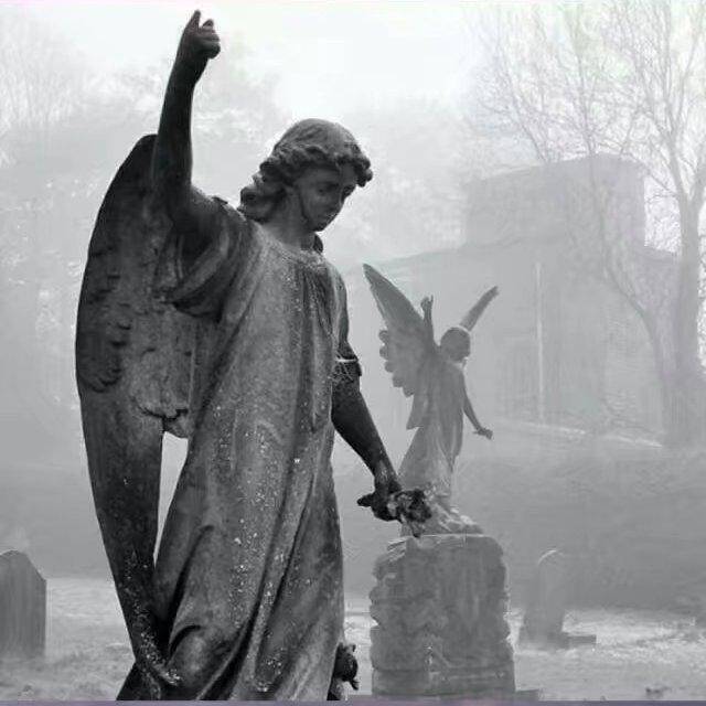 hao xiang yang bu ai ni de ren ni gan dong bu liao hao xiang yang remix